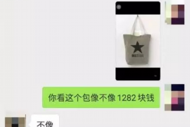 冠县冠县的要账公司在催收过程中的策略和技巧有哪些？